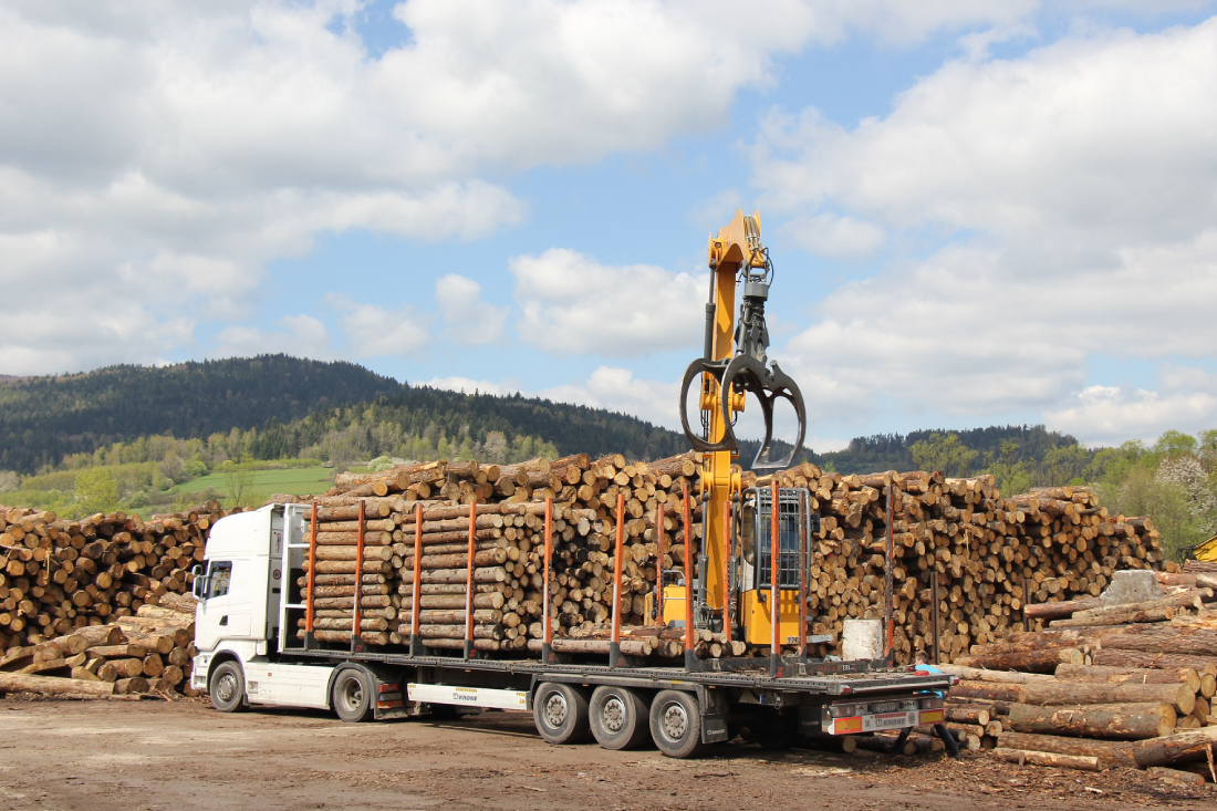 Transporte de madeira